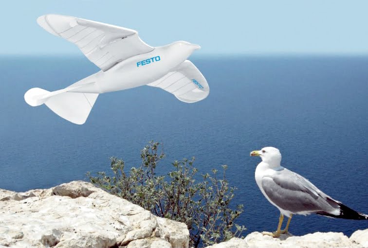 Smartbird | The Online magazine for Cool lovers.